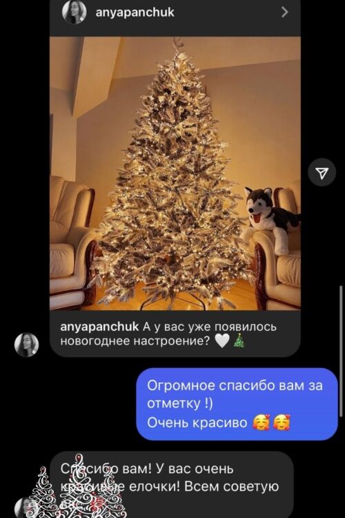 Отзыв клиента про большую ель