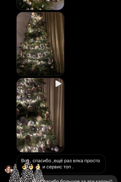 Отзыв клиента с видео о ели